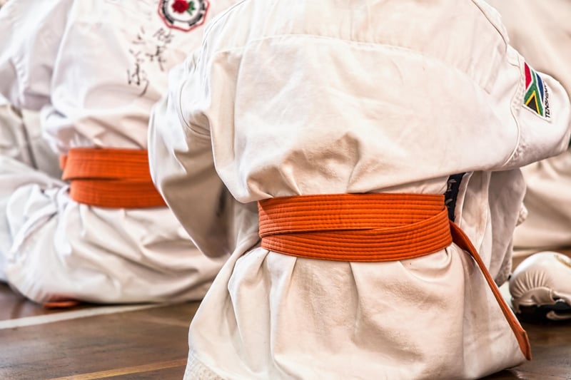 Taekwondo Punch